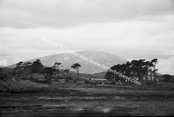 RURAL SCENE WITH FIELDS AND TREES